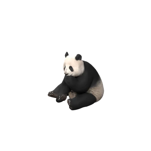 Превью 3D-модели